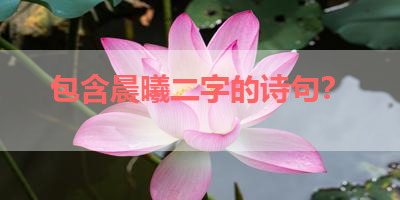 包含晨曦二字的诗句？ 