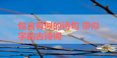 包含有似的诗句 带似字的古诗词 