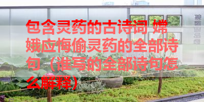 包含灵药的古诗词 嫦娥应悔偷灵药的全部诗句（谁写的全部诗句怎么解释） 