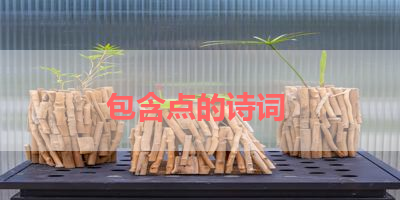 包含点的诗词 