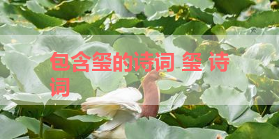 包含玺的诗词 玺 诗词