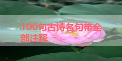 100句古诗名句带全部注释 