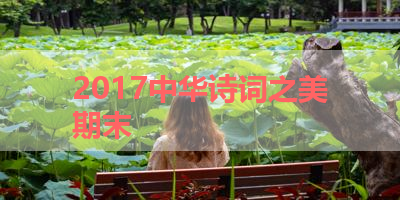 2017中华诗词之美期末 