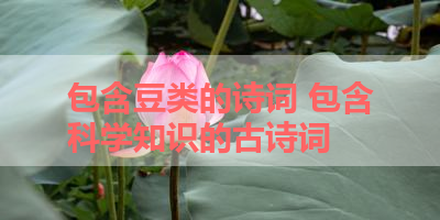 包含豆类的诗词 包含科学知识的古诗词