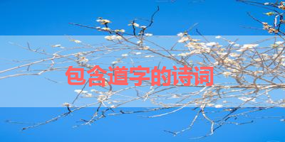 包含道字的诗词 