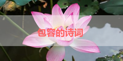 包容的诗词 