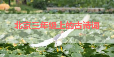 北京三年级上的古诗词 