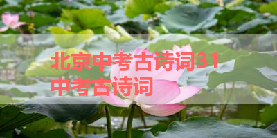 北京中考古诗词31 中考古诗词