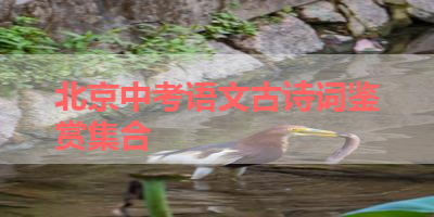 北京中考语文古诗词鉴赏集合 