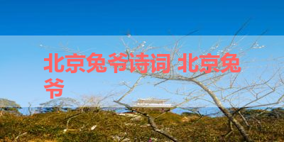 北京兔爷诗词 北京兔爷