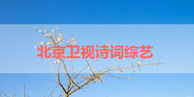 北京卫视诗词综艺 