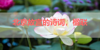 北京故宫的诗词，楹联 