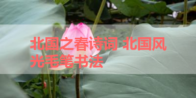 北国之春诗词 北国风光毛笔书法