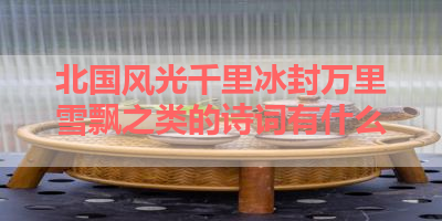 北国风光千里冰封万里雪飘之类的诗词有什么 