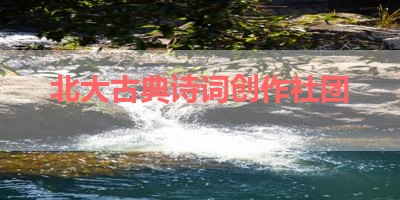 北大古典诗词创作社团 