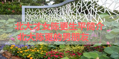 北大才女陈更生平简介 北大陈更的男朋友