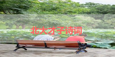 北大才子诗词 