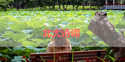 北大诗词 