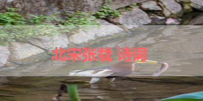 北宋张载 诗词 