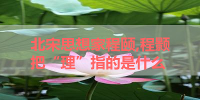 北宋思想家程颐,程颢把“理”指的是什么 