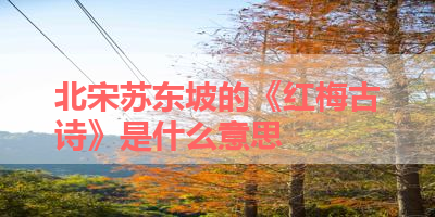 北宋苏东坡的《红梅古诗》是什么意思 