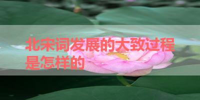 北宋词发展的大致过程是怎样的 
