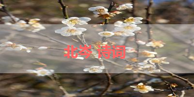北岑 诗词 