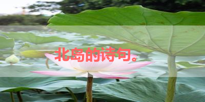 北岛的诗句。 