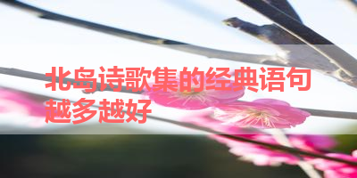 北岛诗歌集的经典语句越多越好 