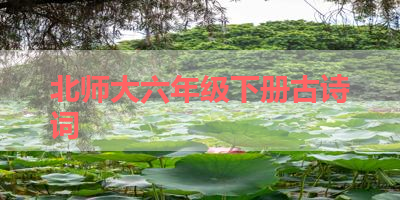 北师大六年级下册古诗词 