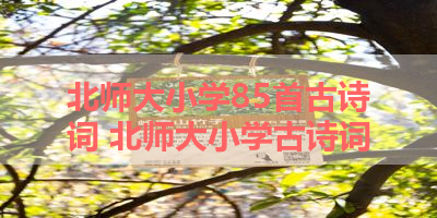 北师大小学85首古诗词 北师大小学古诗词
