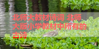 北师大教材诗词 北师大版小学教材中所有的古诗 