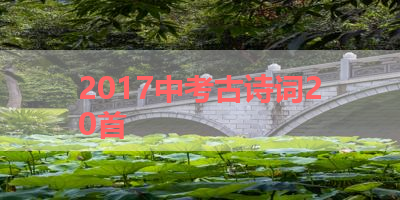 2017中考古诗词20首 