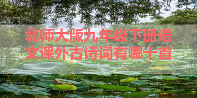 北师大版九年级下册语文课外古诗词有哪十首 