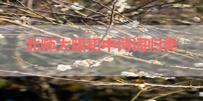 北师大版初中诗词归类 