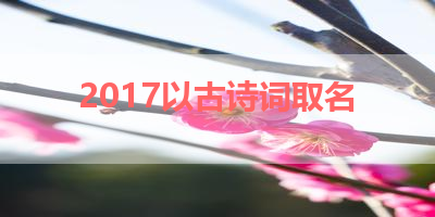 2017以古诗词取名 