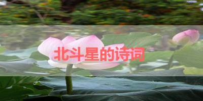 北斗星的诗词 