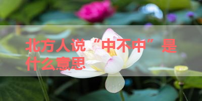 北方人说“中不中”是什么意思 
