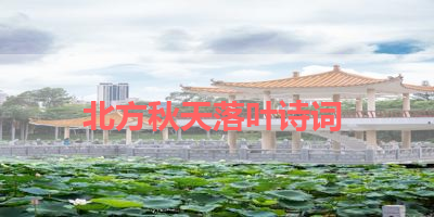 北方秋天落叶诗词 