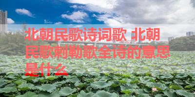 北朝民歌诗词歌 北朝民歌刺勒歌全诗的意思是什么 
