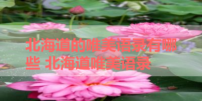 北海道的唯美语录有哪些 北海道唯美语录
