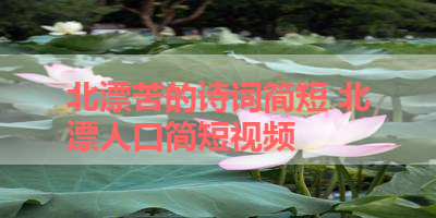 北漂苦的诗词简短 北漂人口简短视频