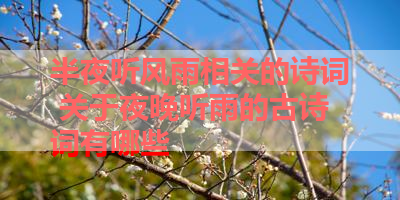 半夜听风雨相关的诗词 关于夜晚听雨的古诗词有哪些 