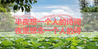 半夜想一个人的诗词 夜里想念一个人的诗 