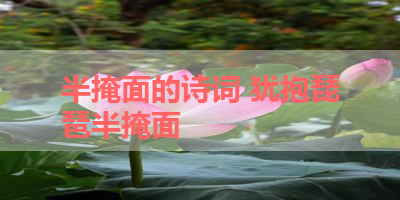 半掩面的诗词 犹抱琵琶半掩面