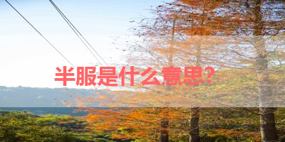 半服是什么意思？ 