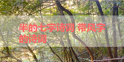 半的七字诗词 带风字的诗词