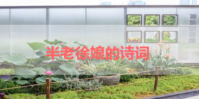 半老徐娘的诗词 