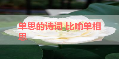 单思的诗词 比喻单相思