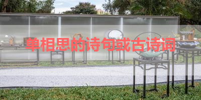 单相思的诗句或古诗词 
